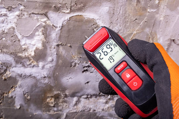 Best Best Mold Removal Companies  in Highland, MD