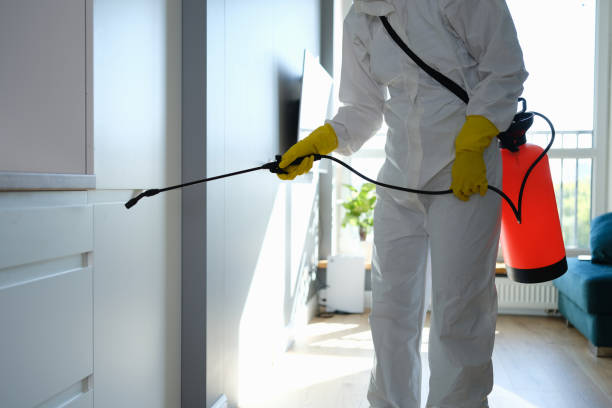 Water Damage Restoration in Highland, MD