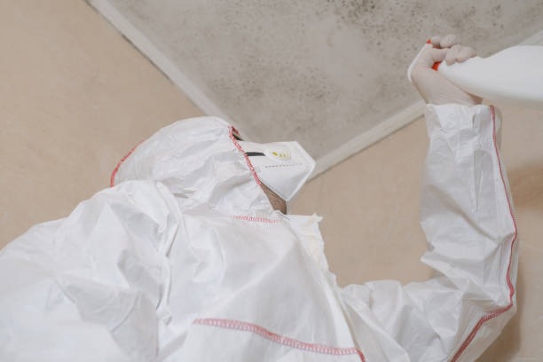 Best Fast Mold Removal  in Highland, MD