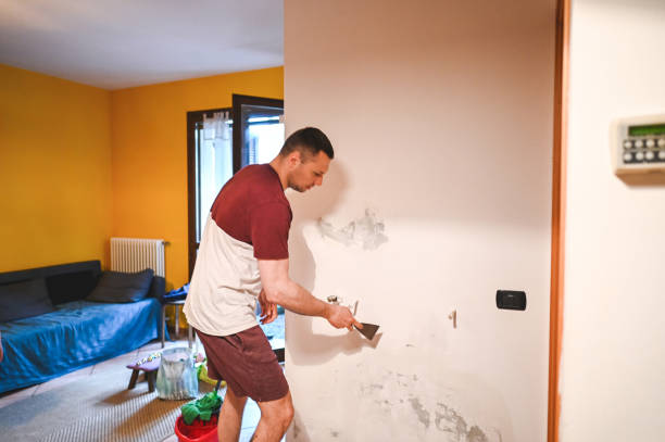 Best Mold Removal and Inspection  in Highland, MD