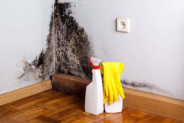 Best Crawl Space Mold Removal  in Highland, MD
